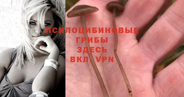 мдпв Балахна
