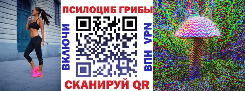 omg рабочий сайт Козельск Псилоцибиновые грибы Magic Shrooms дарнет шоп